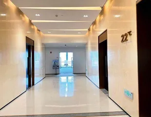 上海豪宅楼盘打新乱象2