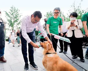 意料之外,情理之中:星巴克在中国开9000家店1