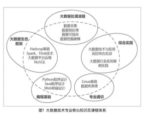 新工科背景下程序设计课改助推大数据专业人才培养研究 
