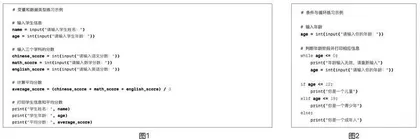 小学高年级Python编程教学的实践与思考 