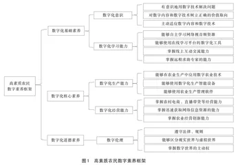 高素质农民数字素养探析：框架体系及培育路径