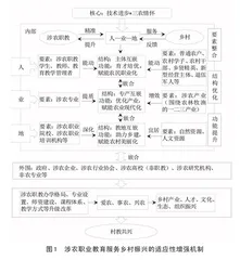涉农职业教育增强服务乡村振兴适应性的实践困境及破解策略