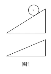 体验生长过程，感悟数学思想
