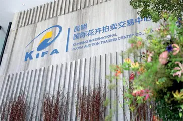 探访亚洲最大的鲜花拍卖市场2