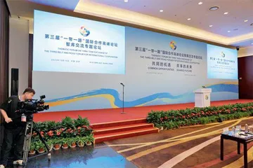 推动“一带一路”建设，这股力量不可或缺