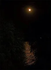 双节叠庆,人月团圆1