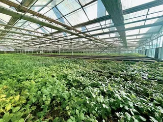 行走黄河看吕梁:写就绿色生态高质量发展“新篇章”4