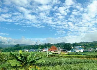 农业保险提速密织守护大国粮仓