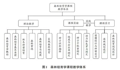 以理想与情怀养成为导向的森林培育学课程教学思考