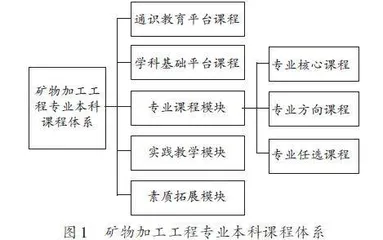 面向工程教育专业认证的矿物加工工程专业课程体系改革和实践