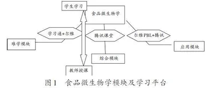 以学生为中心的线上多元混合教学设计及实践