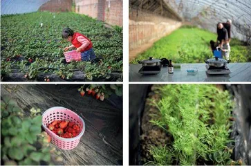 去京郊包个小院过大年8