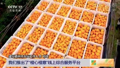 金融奏乡曲,大地飞新歌5