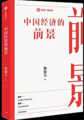 专访林毅夫:2022年,中国经济增长的动力在哪里?1
