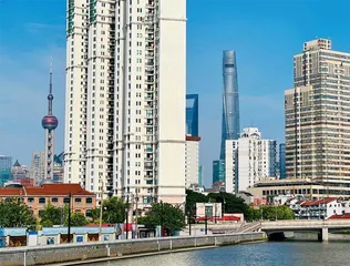 上海复苏记