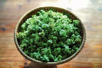 舌尖上的春天8