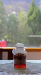 舌尖上的春天17