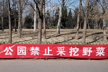 舌尖上的春天18