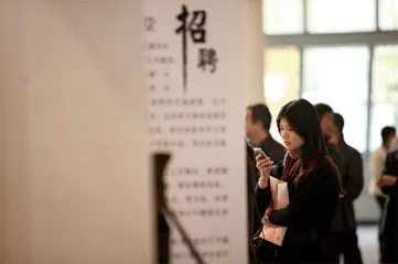 大学生结构性就业矛盾的根源在哪儿？