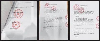低价明星代言,馅饼还是陷阱? 2