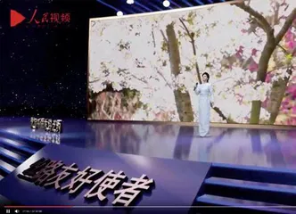 第二届“丝路友好使者”盛典颁奖活动举行1