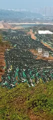 哈啰、青桔、美团等近40万辆车去哪儿了?2