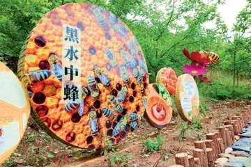 农村兴起产业升级:生态农业助推乡村振兴3
