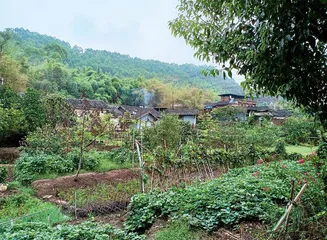 乡村“银发族”怎么过晚年5