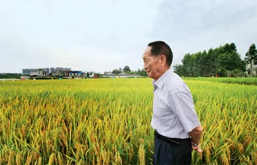 送别袁隆平!5
