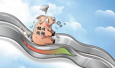 “跌跌不休”的生猪行业能否企稳反弹？
