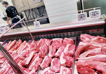 “跌跌不休”的生猪行业能否企稳反弹?1