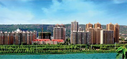 李黑记:党员、农民和企业家1