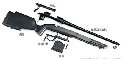 巴西陶鲁斯“第一”:“远征”(Expedition)栓动步枪2
