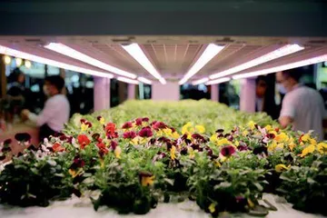 “进博之约”:大国开放,共享机遇3