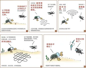 漫画轻兵器之二十六 无人机!无人机!(3)1