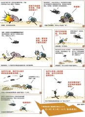 漫画轻兵器之二十六无人机！无人机！（4）2