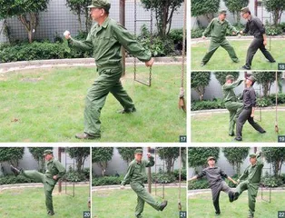 踏破铁鞋无觅处,得来全不费工夫5