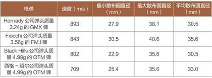 AR系审美疲劳？以色列IWI美国公司卡梅尔步枪来袭12