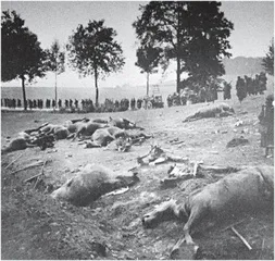 走进法兰西军事博物馆系列之二十二一战期间的第三共和国(1914~1918年)(1)7