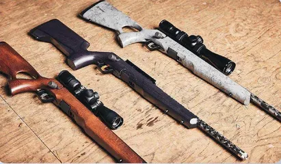 新型轻武器欣赏6