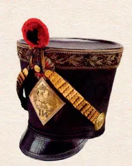 走进法兰西军事博物馆系列之十五 皇帝寻求征服欧洲(1804~1815年)8