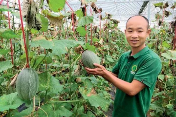 张同学火“出圈”,新农人站上乡村振兴C位1