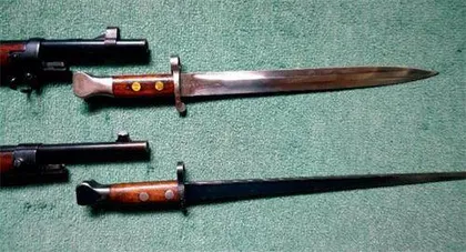 31型,72种枪弹: 荷兰M.95步枪极致演变(一)6