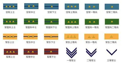 军队的基石5