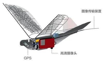 战场潜伏者:仿生智能微型无人机4
