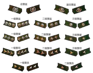 星花上的门道:中国警察衔级与标识1