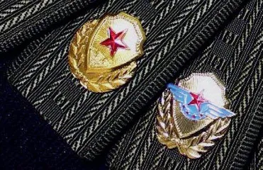 星花上的门道:中国警察衔级与标识4