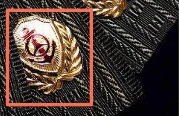 星花上的门道:中国警察衔级与标识5