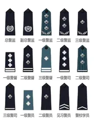 星花上的门道:中国警察衔级与标识8