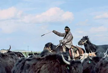冷兵器 藏族的“独门”冷兵器2